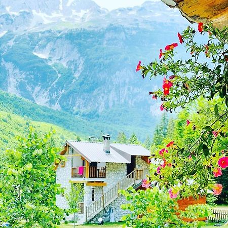 Krojet E Rrogamit Valbona Kültér fotó
