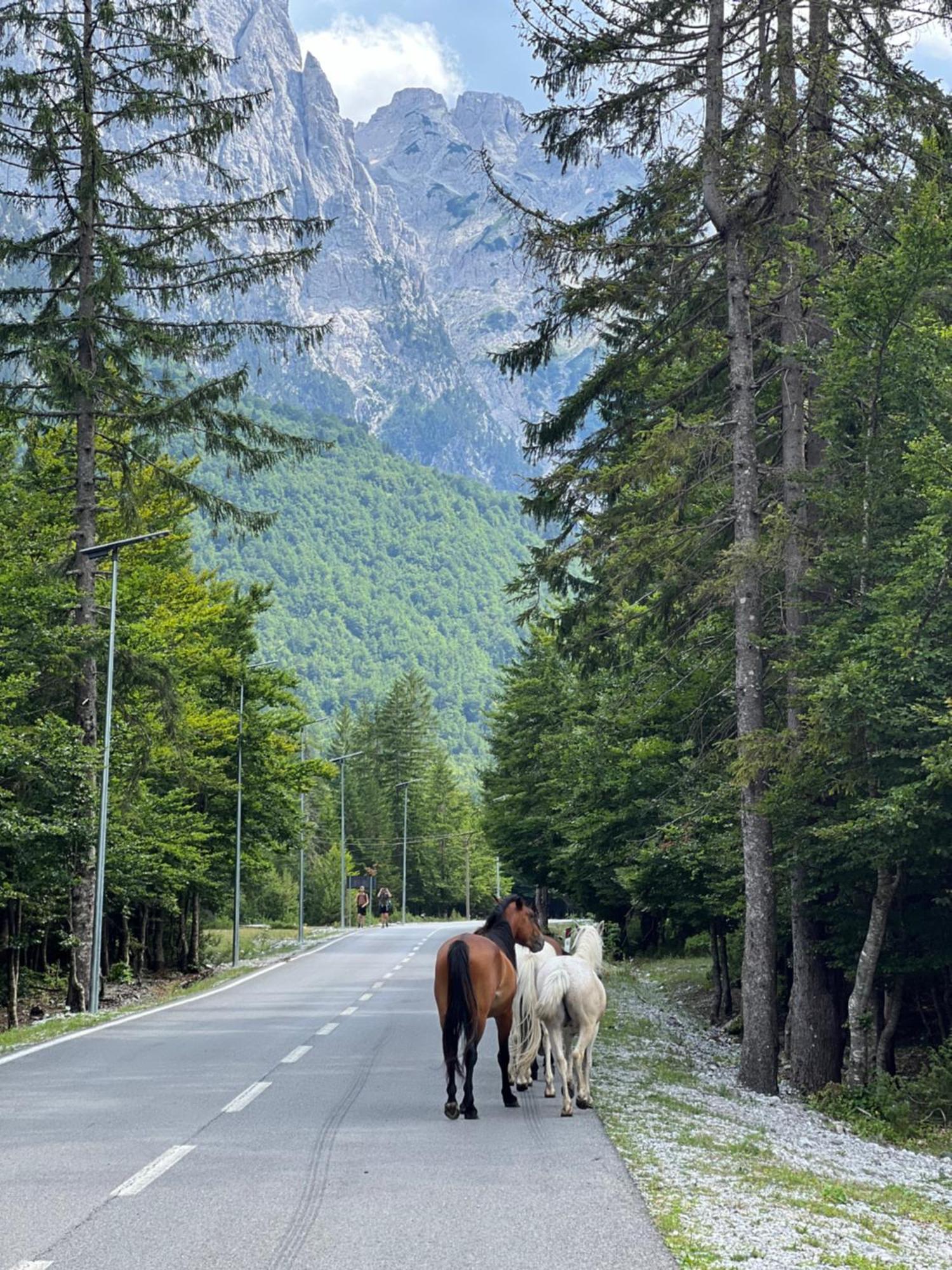 Krojet E Rrogamit Valbona Kültér fotó